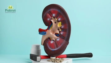 Ayurvedic spice for urinary health and kidney detox
