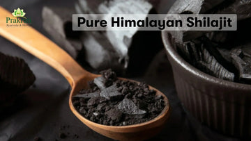 Prakruti Ayurveda Shilajit capsules – Boost stamina and endurance for better workout performance