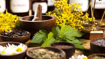 Ayurvedic Remedies to Increase Penis Size Naturally
