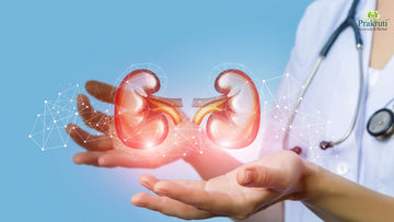 natural kidney