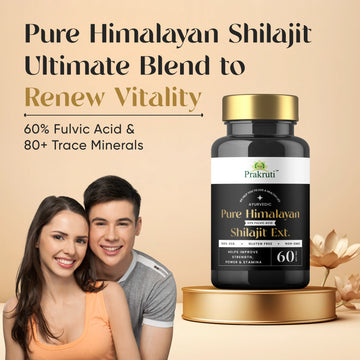Pure Shilajit Extract Capsules for Stamina