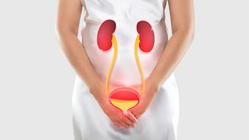 Sea buckthorn berries for urinary tract infection remedy