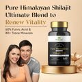Shilajit supplement
