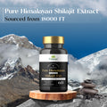 Himalayan Shilajit resin for detox and energy