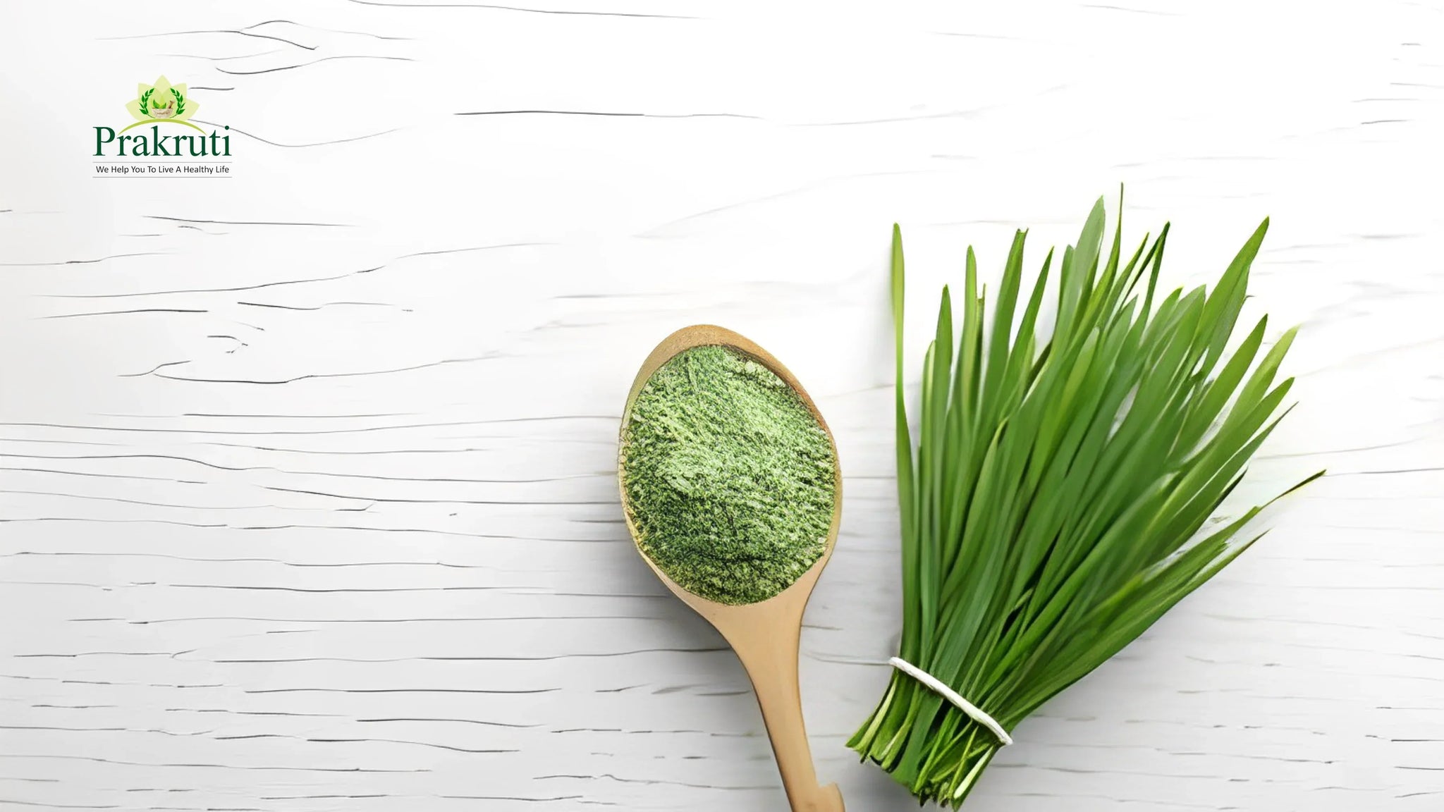 Wheatgrass bundle and powder – natural superfood for health