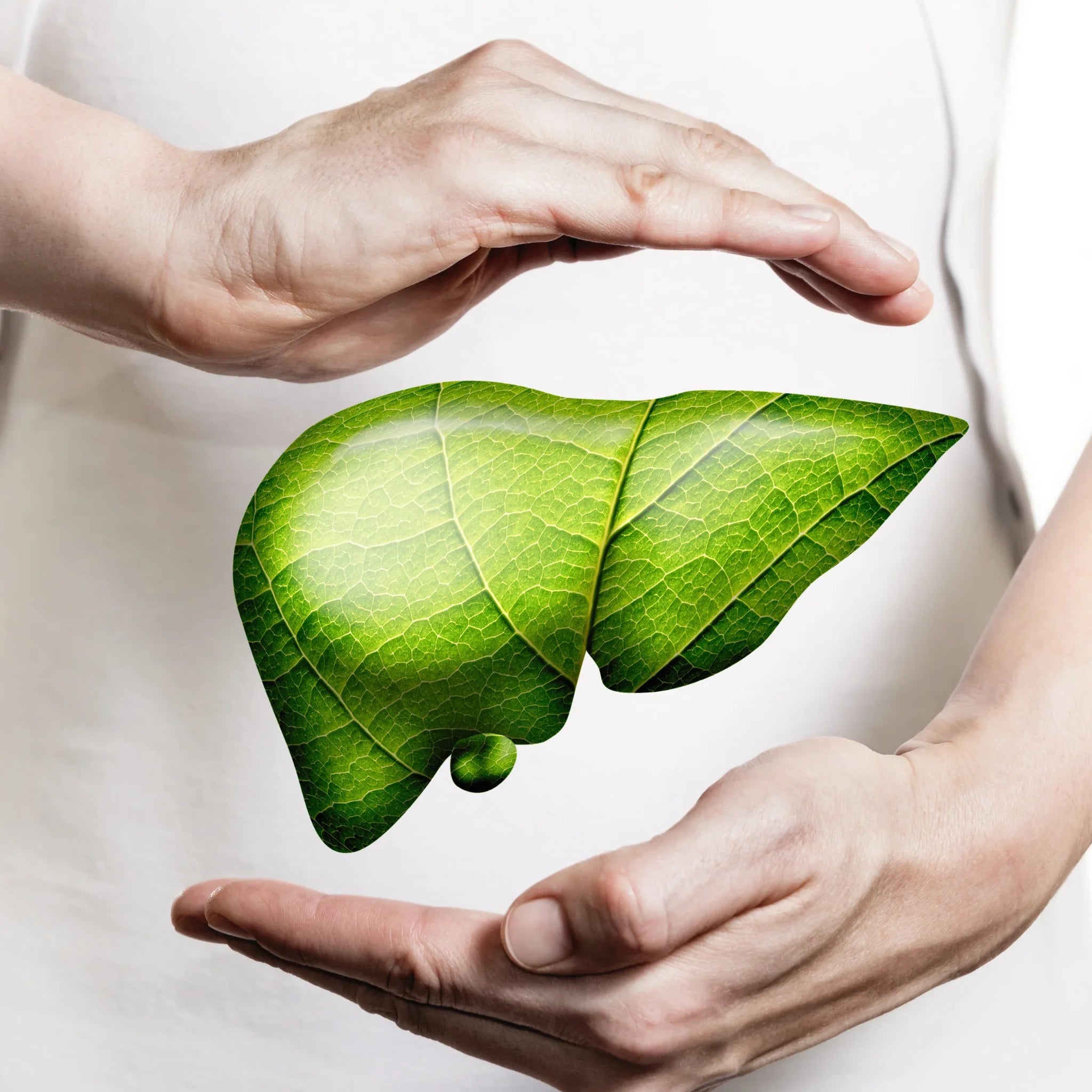 Ayurvedic Herbs for Fatty Liver