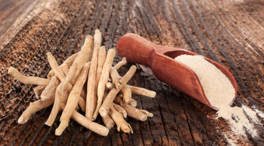 Ashwagandha root and capsules for PCOS treatment and hormonal balance