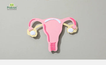 Ayurvedic home remedies for uterus fibroid treatment in women