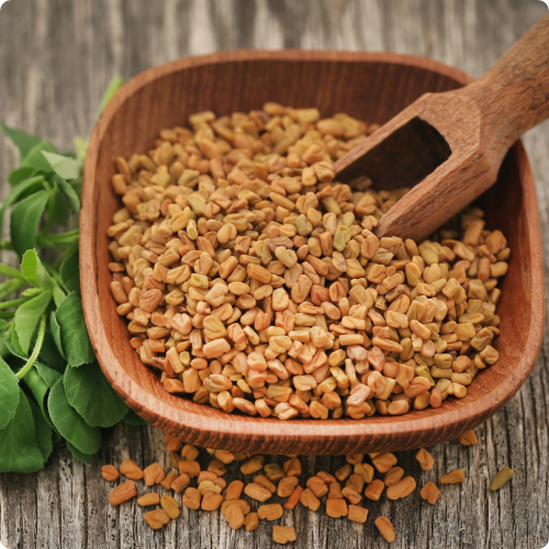 methi fenugreek for diabetes